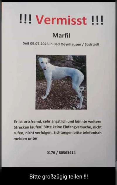 Entlaufene, Gefundene und Vermisste Hunde-Beitrag-Bild