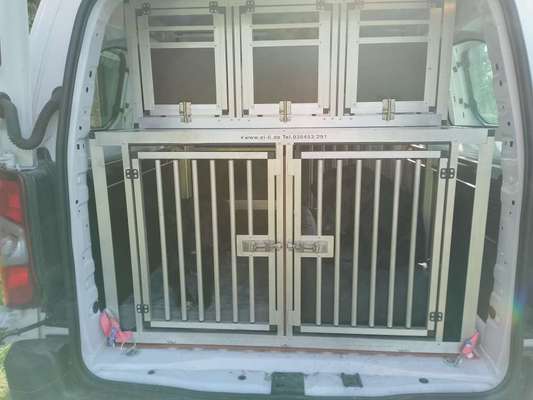 TierschutzhundeStammtisch🐕-Beitrag-Bild