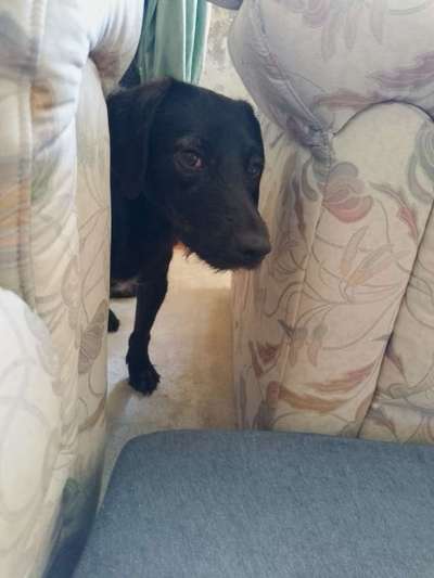 Unsicherheit im Haus-Beitrag-Bild