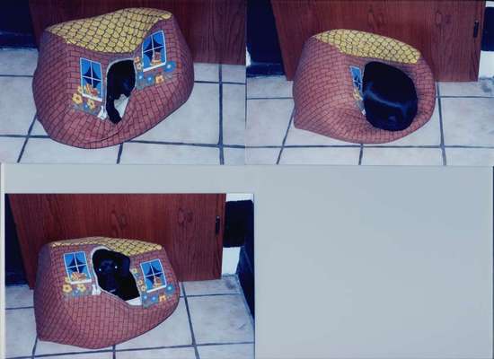 Nest bauen/ sich bequem machen-Beitrag-Bild