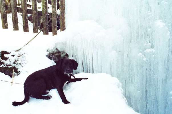 Fotochallenge Nr 107-Beitrag-Bild