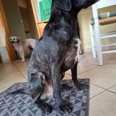 Gangbild/-analyse-Beitrag-Bild