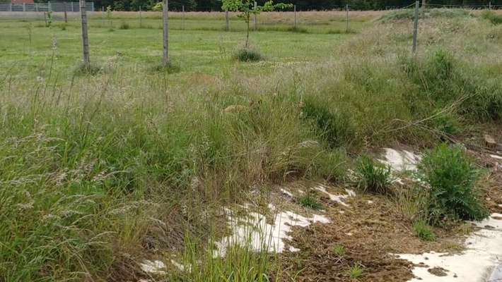 Ton in Ton-Beitrag-Bild