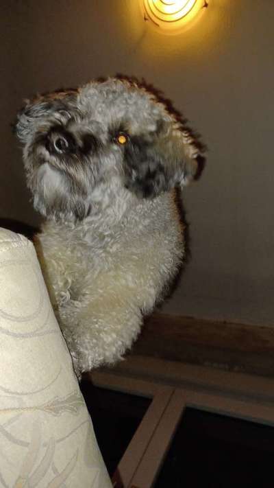 23. Handy Foto-Challenge-Beitrag-Bild