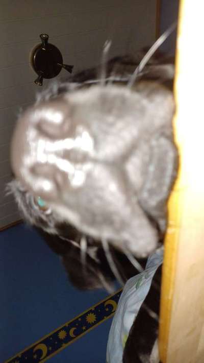 23. Handy Foto-Challenge-Beitrag-Bild