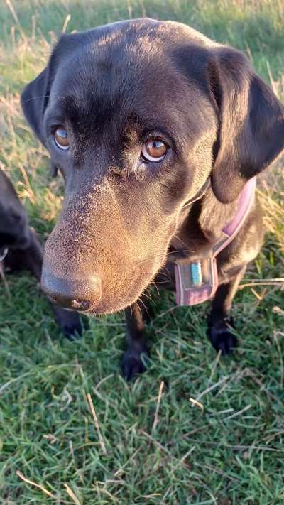 Fotochallenge 129-Beitrag-Bild