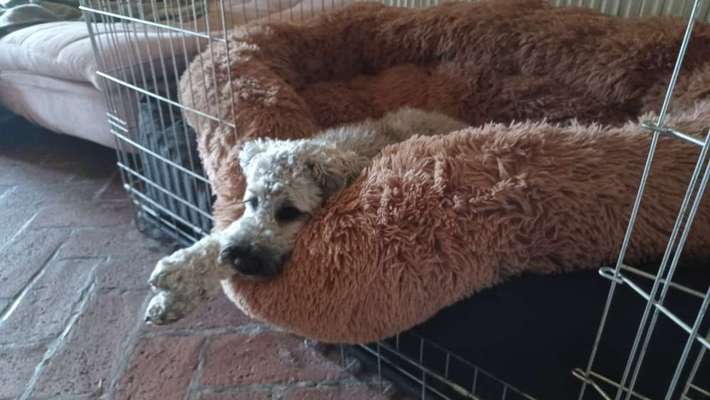 Erfahrung mit Wolkenbett-Beitrag-Bild