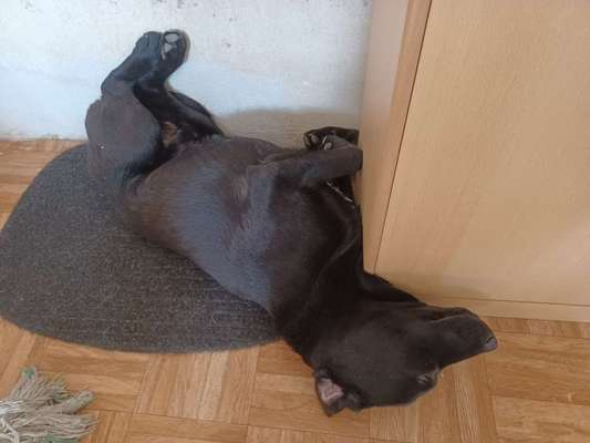 Außergewöhnliche Merkmale-Beitrag-Bild