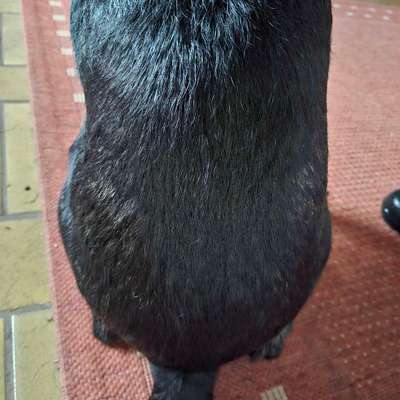 Gangbild/-analyse-Beitrag-Bild