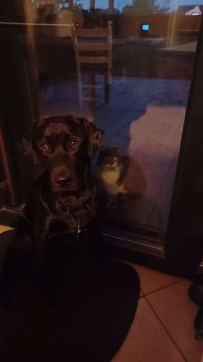 Ton in Ton-Beitrag-Bild