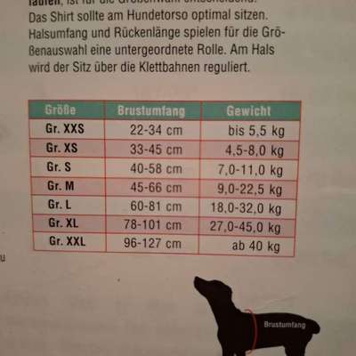 Thundershirt-Beitrag-Bild