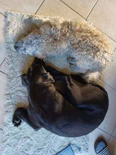 Ton in Ton-Beitrag-Bild