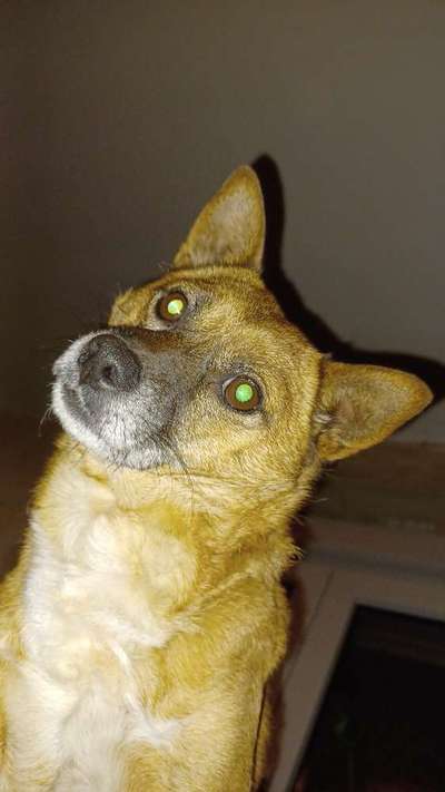 23. Handy Foto-Challenge-Beitrag-Bild