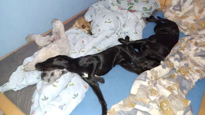 Relaxen im bett-Beitrag-Bild