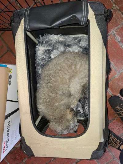 Box für Rückbank im Auto-Beitrag-Bild