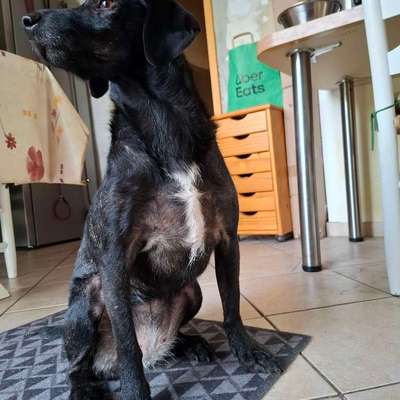 Gangbild/-analyse-Beitrag-Bild