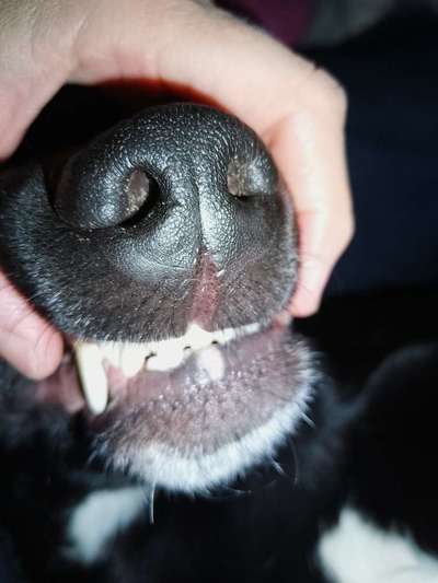 Helle Stelle Lippe-Beitrag-Bild