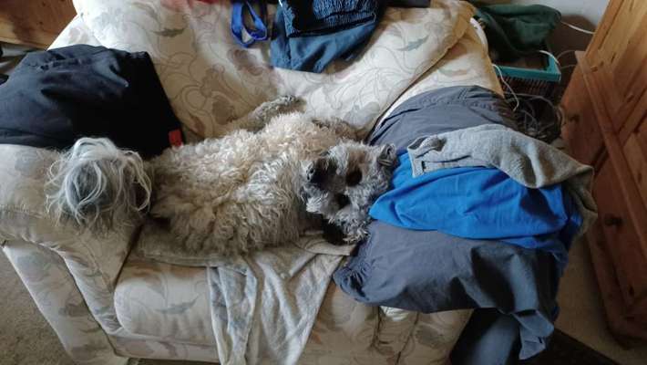 Ton in Ton-Beitrag-Bild