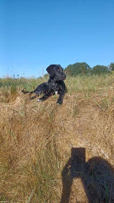 Fotochallenge 129-Beitrag-Bild