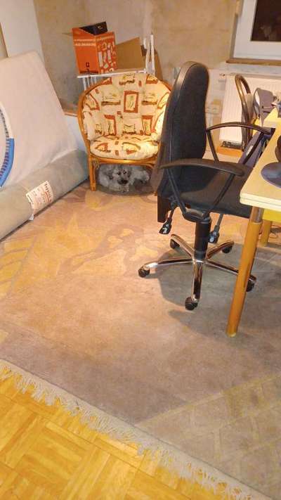 Platz aussuchen lassen.-Beitrag-Bild