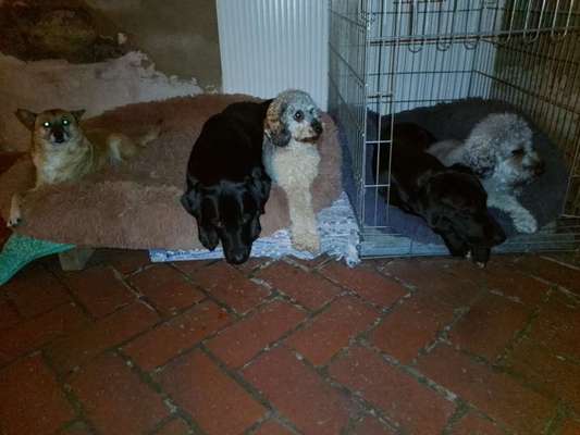 Faltbare Box?-Beitrag-Bild