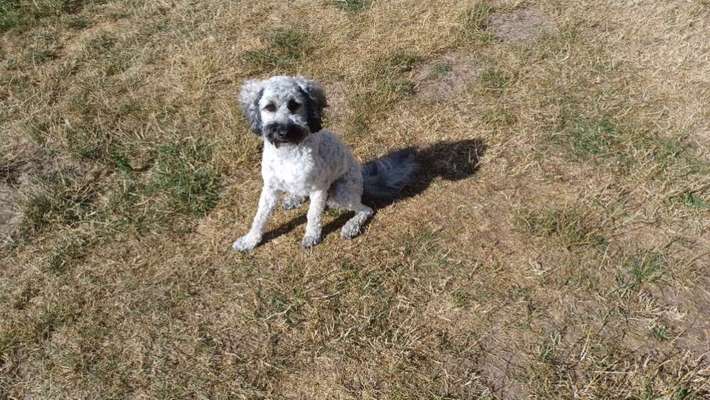 Bettel Blicke-Beitrag-Bild