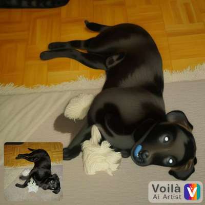 Voila app Bilder-Beitrag-Bild