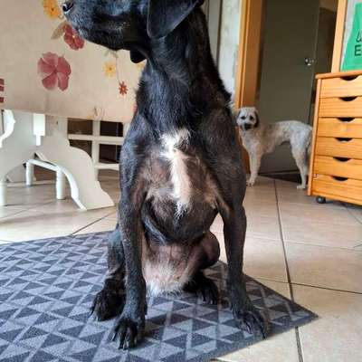 Gangbild/-analyse-Beitrag-Bild