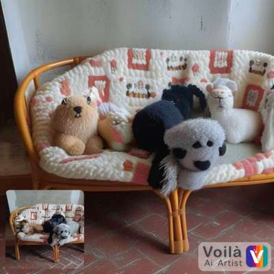 Voila app Bilder-Beitrag-Bild