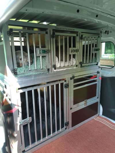 TierschutzhundeStammtisch🐕-Beitrag-Bild