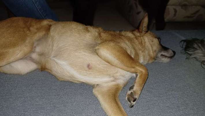 Knubbel entfernen ja oder nein?-Beitrag-Bild