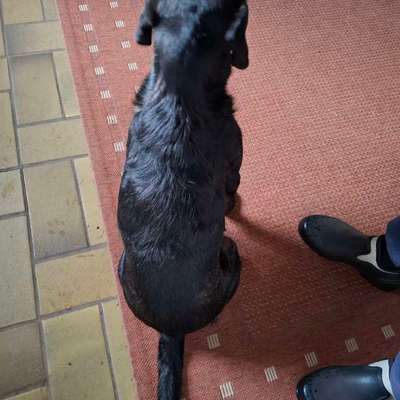 Gangbild/-analyse-Beitrag-Bild