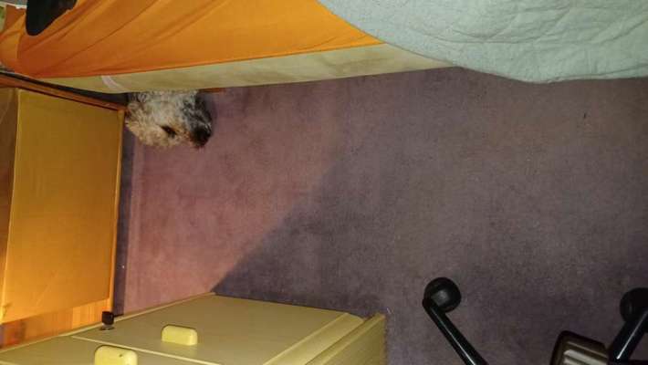 Platz aussuchen lassen.-Beitrag-Bild