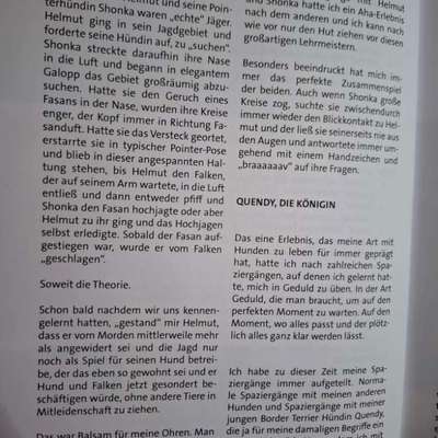 "Wege zur Freundschaft" (Ulli Reichmann)-Beitrag-Bild