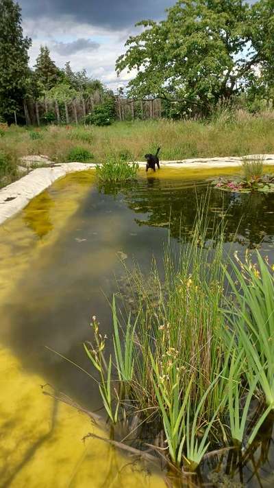 35. Handy Foto Challenge - Das nasse Element-Beitrag-Bild