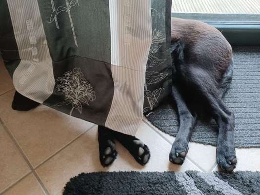 Foto Challenge 112 
ungewöhnliche Schlafplätze-Beitrag-Bild