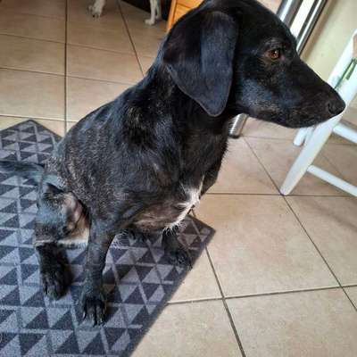 Gangbild/-analyse-Beitrag-Bild