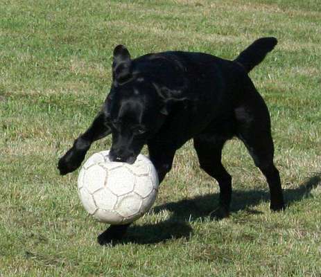 Farben Fotochallenge Thema ,,Grün"-Beitrag-Bild