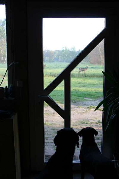 Handy-Foto-Challange Nr. 8-Beitrag-Bild