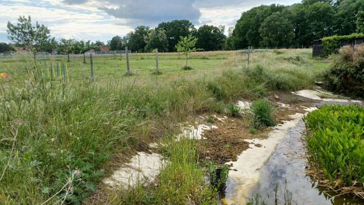 Ton in Ton-Beitrag-Bild