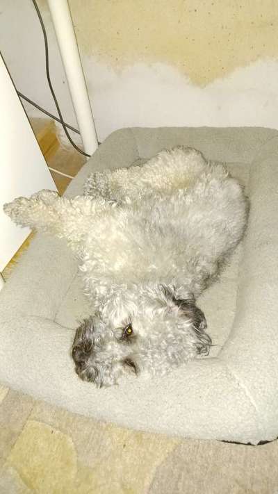 Ton in Ton-Beitrag-Bild