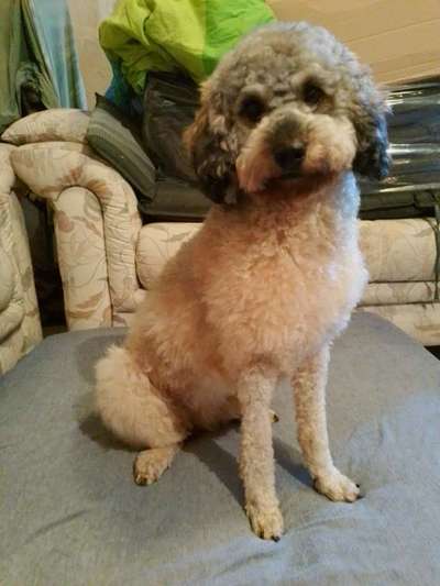 Fixateur extern - wie geht man damit um?-Beitrag-Bild