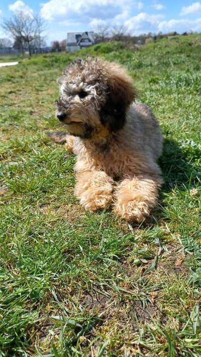 Farben Fotochallenge Sonnenlicht-Beitrag-Bild