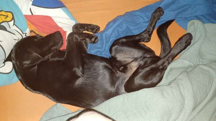 Relaxen im bett-Beitrag-Bild