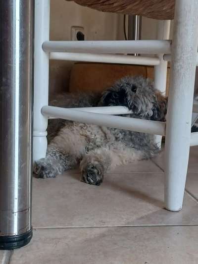 Platz aussuchen lassen.-Beitrag-Bild