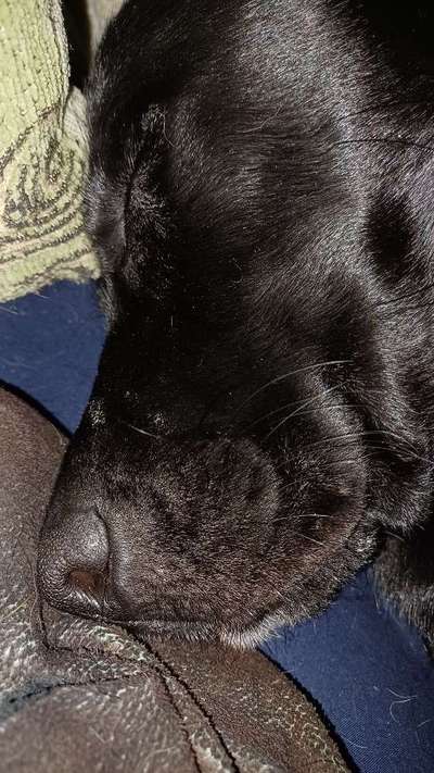 42. Handy Fotochallenge - Den richtigen Riecher haben-Beitrag-Bild