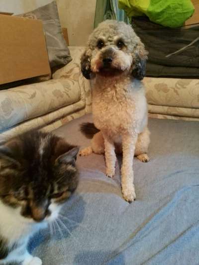 Fixateur extern - wie geht man damit um?-Beitrag-Bild