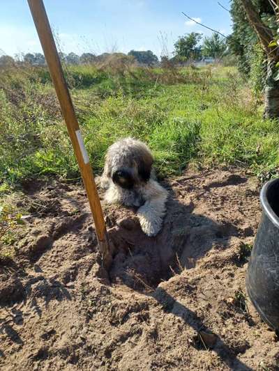 Fotochallenge 129-Beitrag-Bild