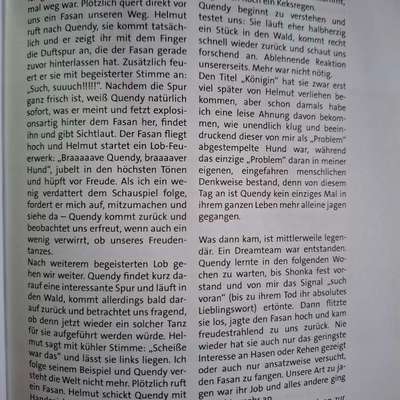 "Wege zur Freundschaft" (Ulli Reichmann)-Beitrag-Bild