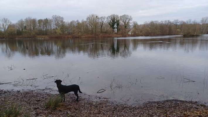 35. Handy Foto Challenge - Das nasse Element-Beitrag-Bild